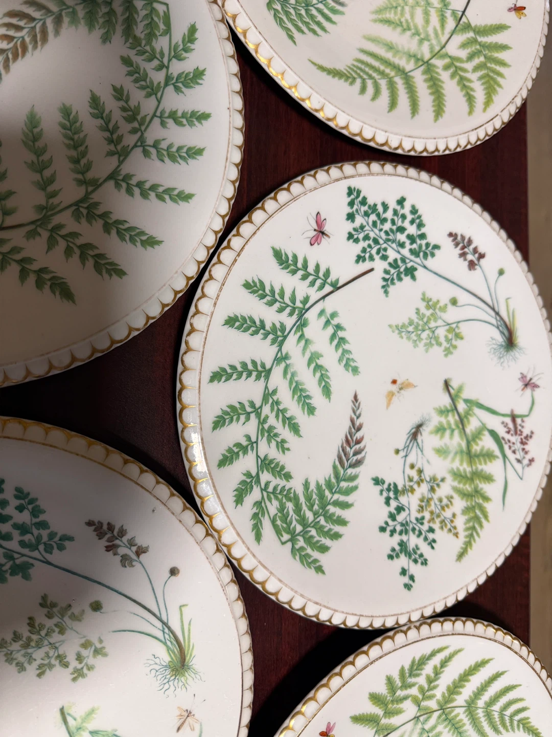 Set of 12 Decorative Plates - Botanical Fern & Insect Design - photo 5