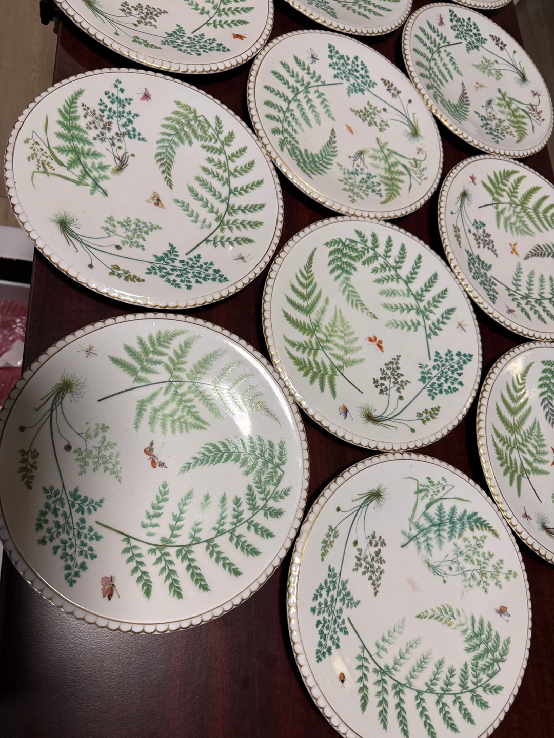 Set of 12 Decorative Plates - Botanical Fern & Insect Design - photo 2