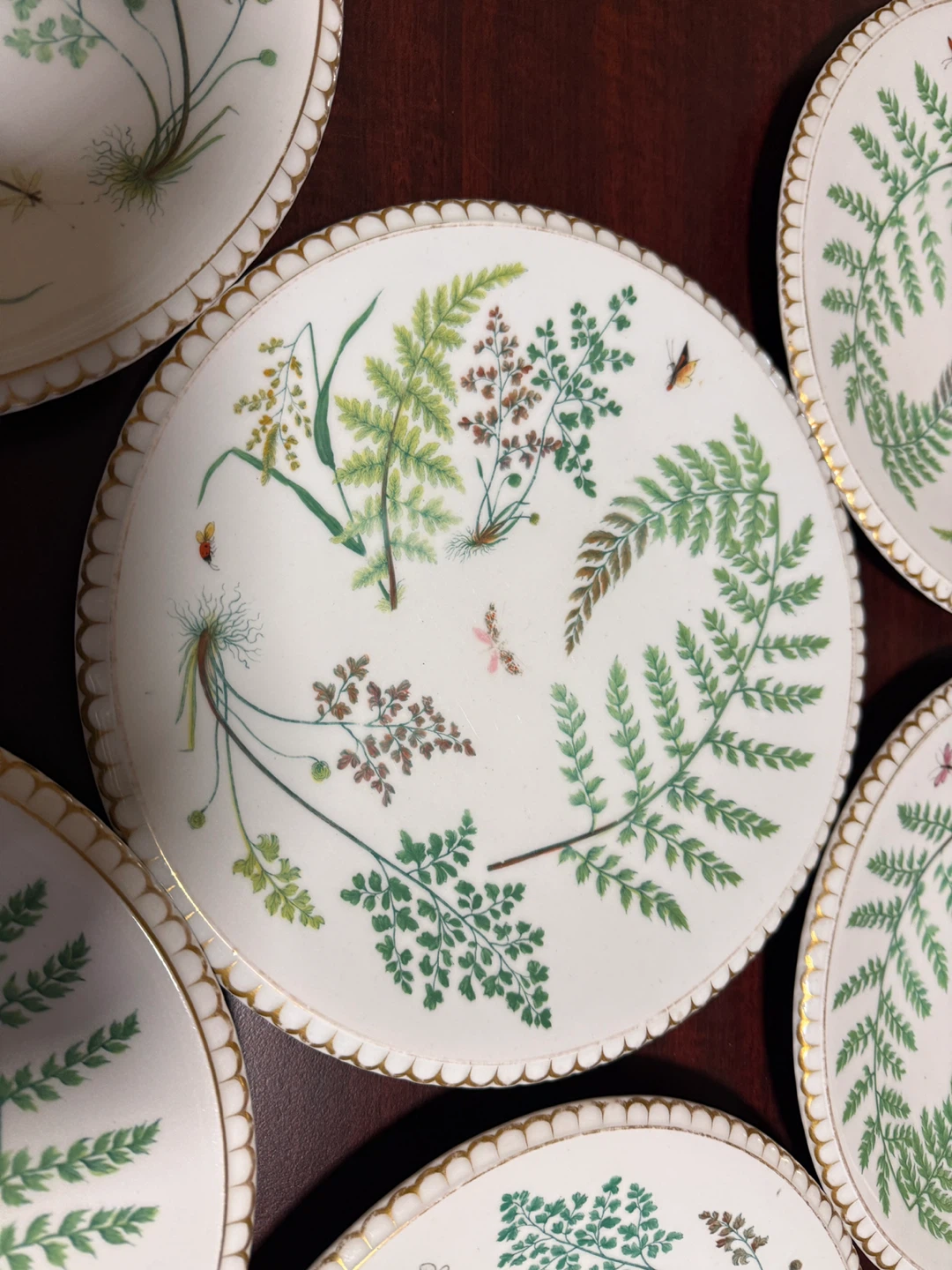 Set of 12 Decorative Plates - Botanical Fern & Insect Design - photo 4