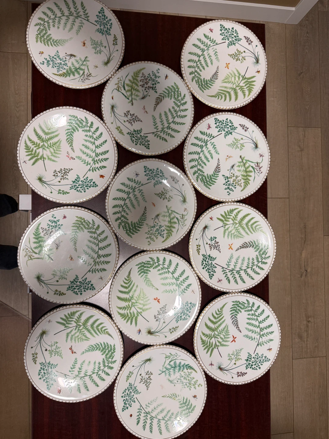 Set of 12 Decorative Plates - Botanical Fern & Insect Design