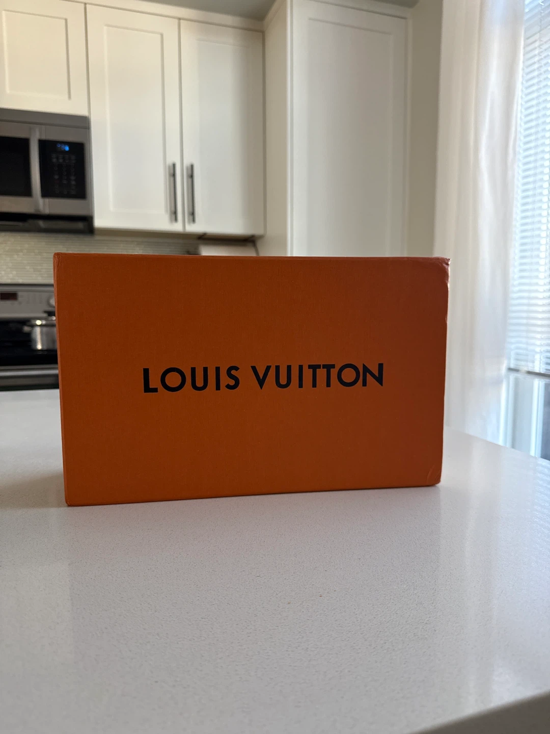 Louis Vuitton LV Shoe box