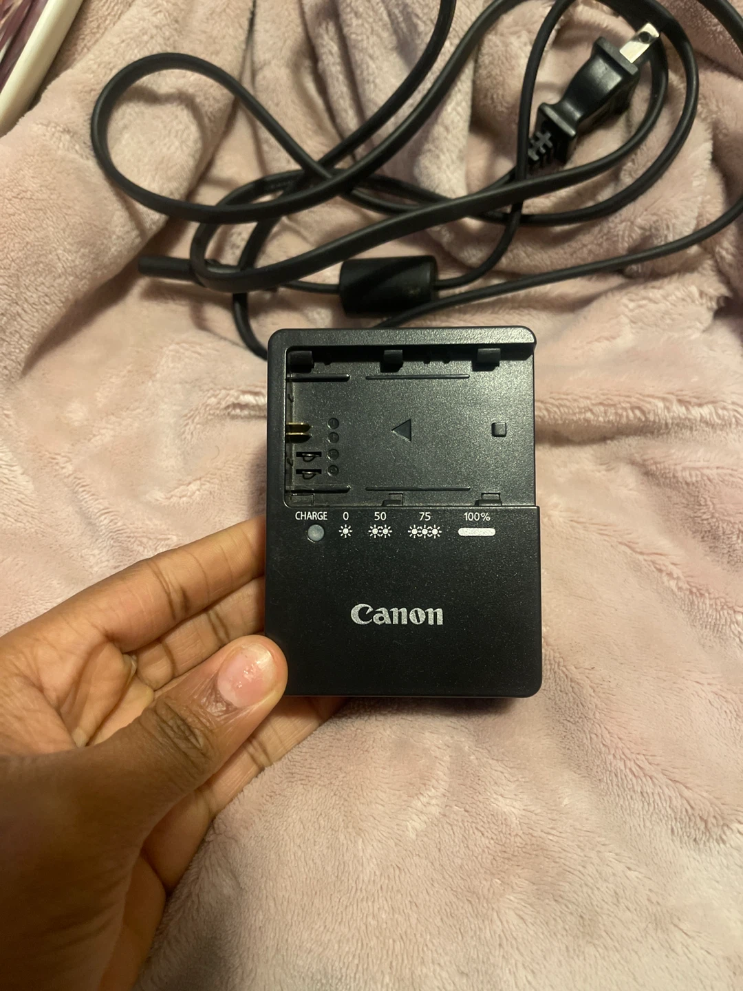 Canon LC-E6 Battery Charger