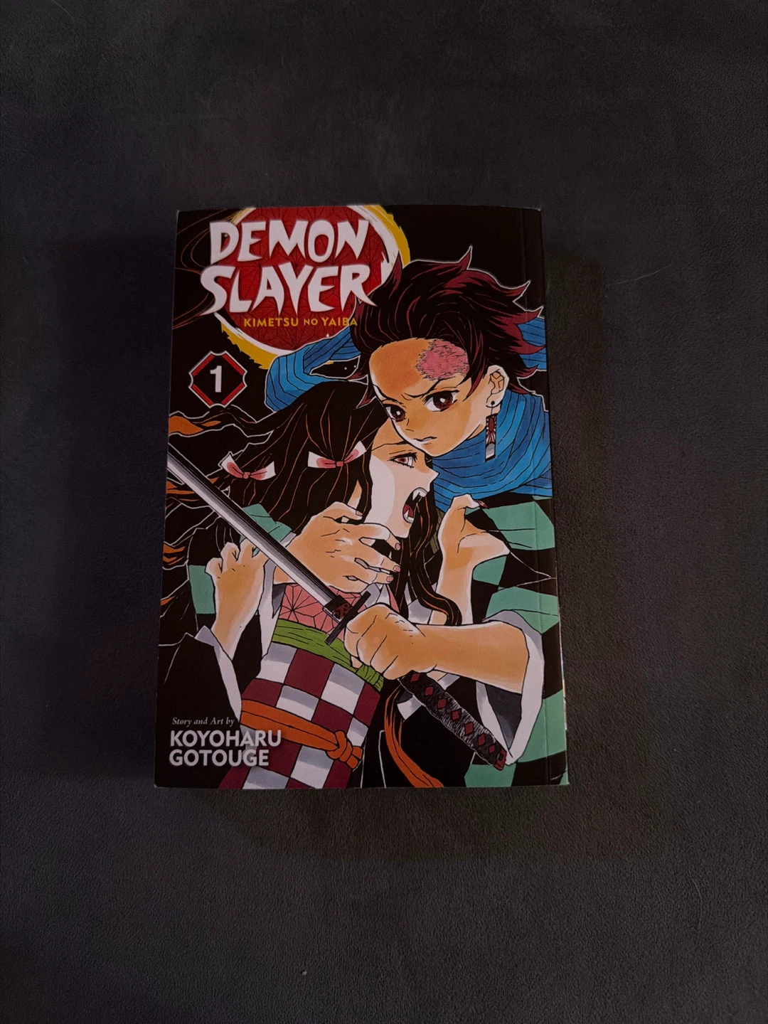 Demon Slayer: Kimetsu no Yaiba Vol. 1 Manga