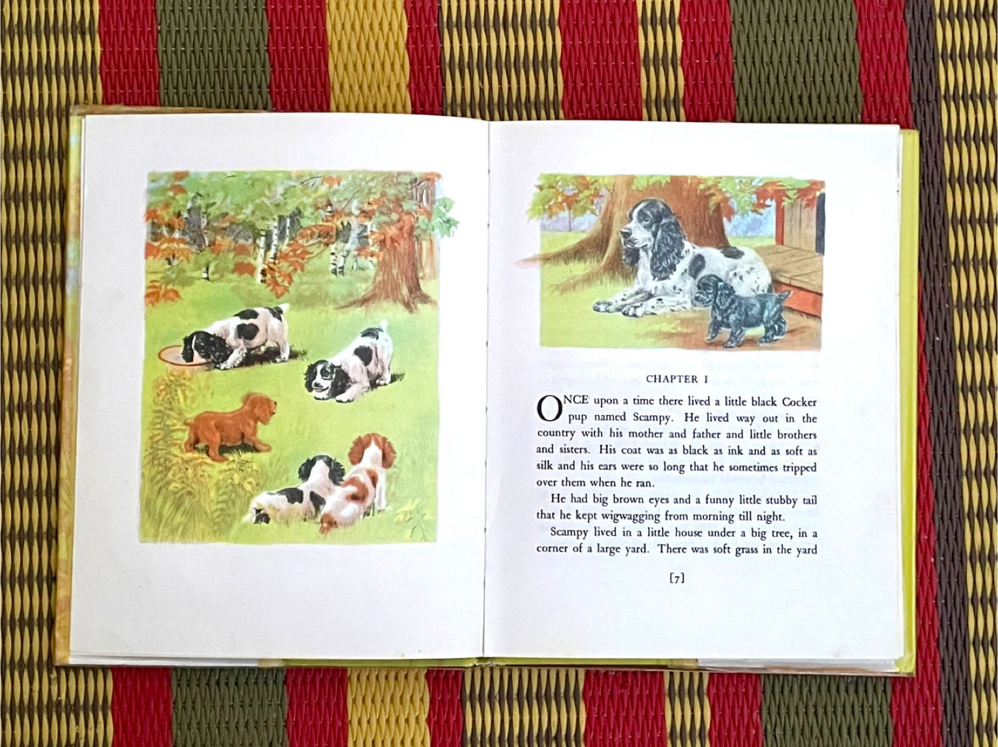 🏆Scampy The Little Black Cocker Book by Dorothy K. L'Hommedieu - photo 2
