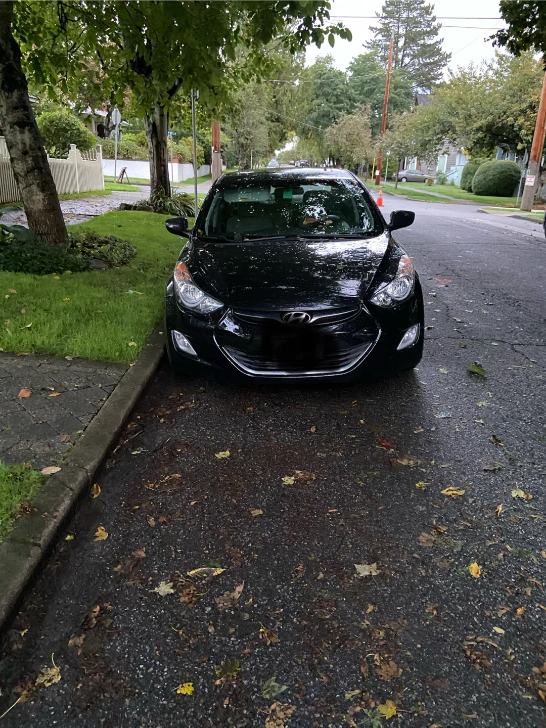 Black Hyundai Elantra 2013 - photo 5