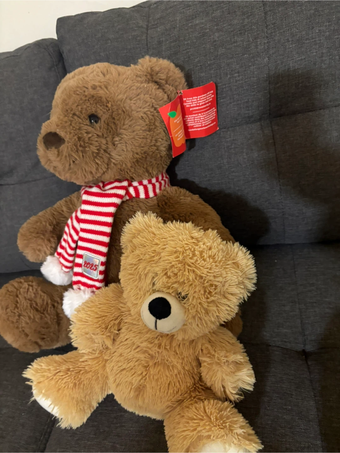 Two teddy bear plush toys