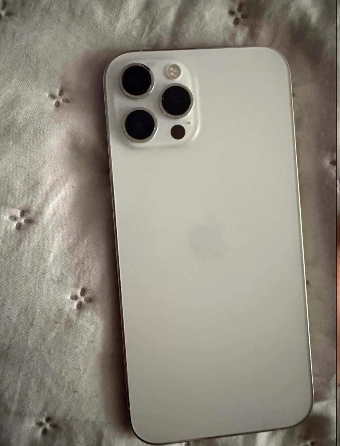 Apple iPhone 12 Pro - Silver - photo 3