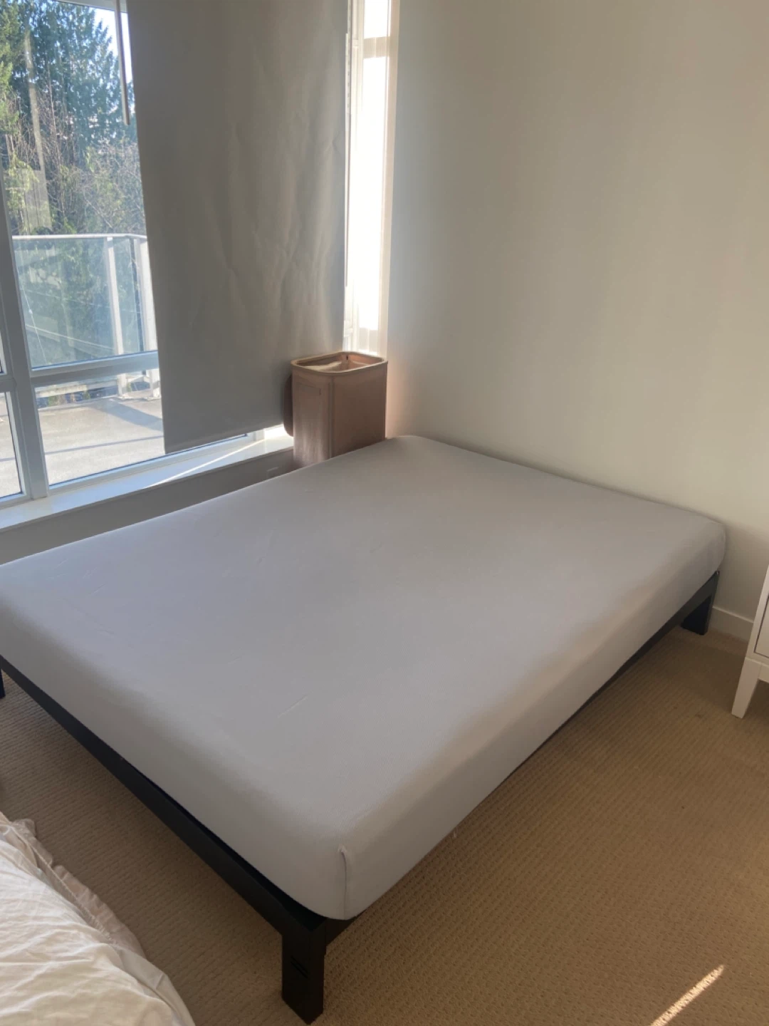Queen Size Mattress