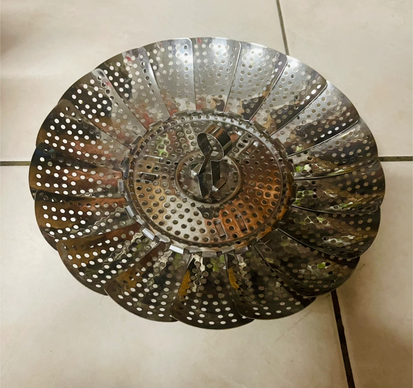 Stainless Steel Steamer Basket