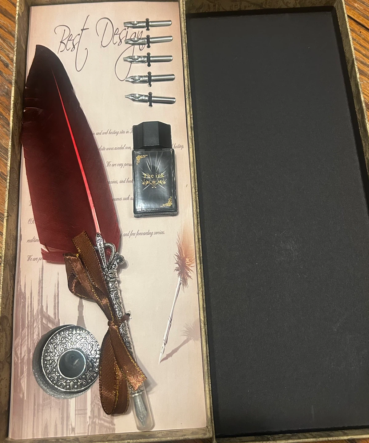 Feather Quill Pen Set with Ink