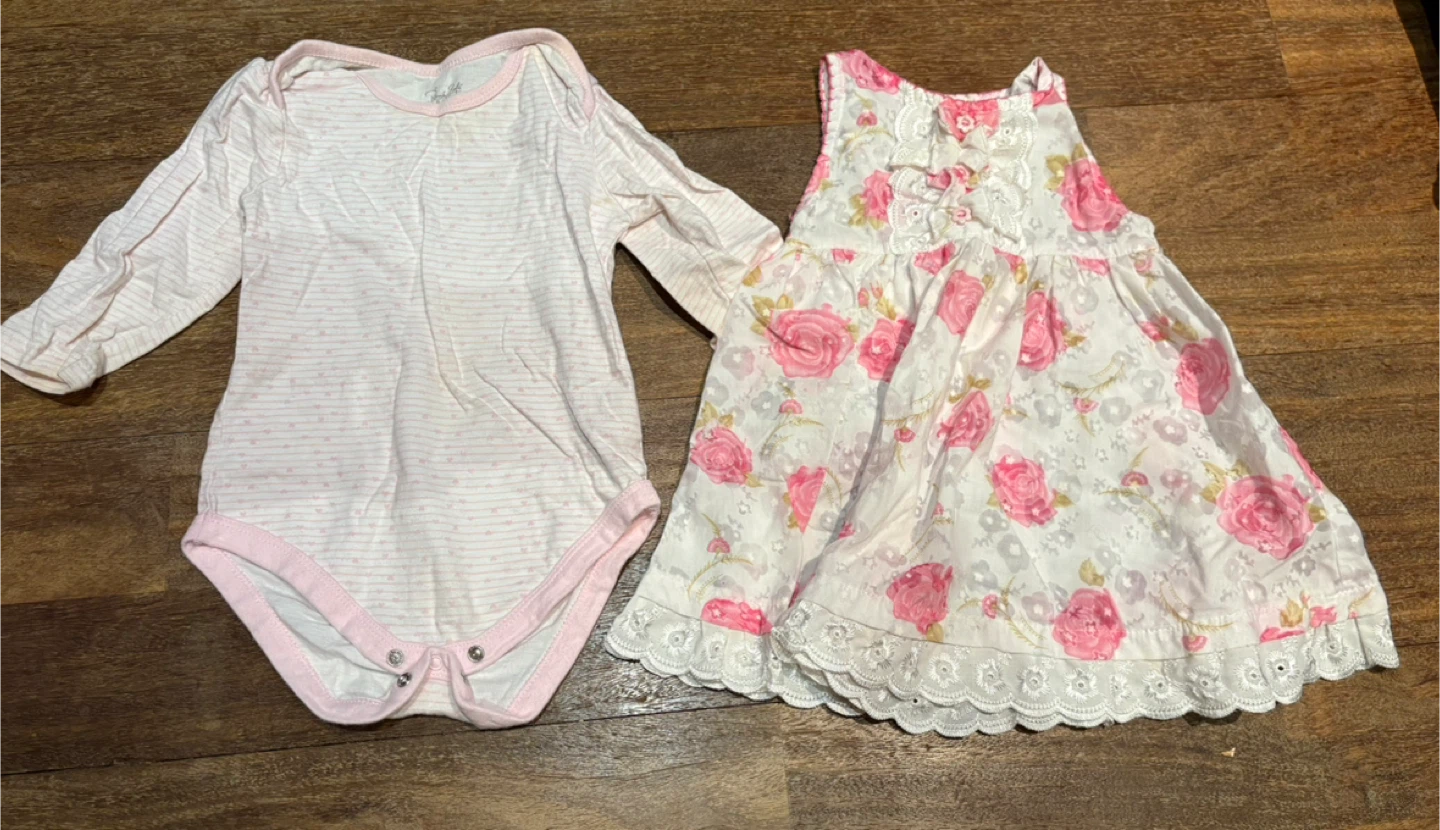 Baby Girl Long Sleeve Bodysuit and Dress Set - Pink Floral