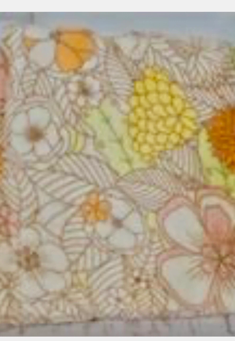 50x60 shirpa throw