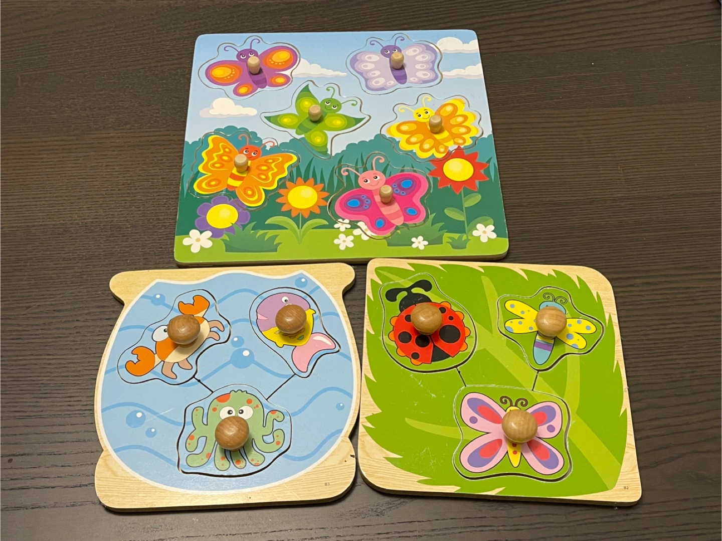 Wooden Peg Puzzles