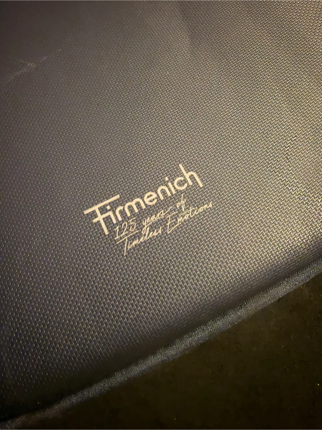 Firmenich blue backpack - photo 4