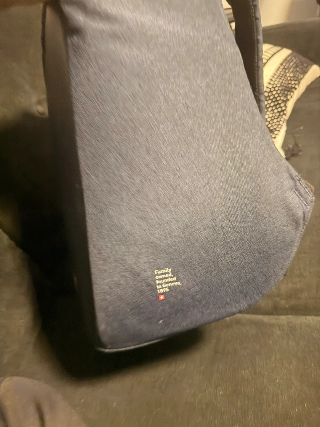 Firmenich blue backpack - photo 3