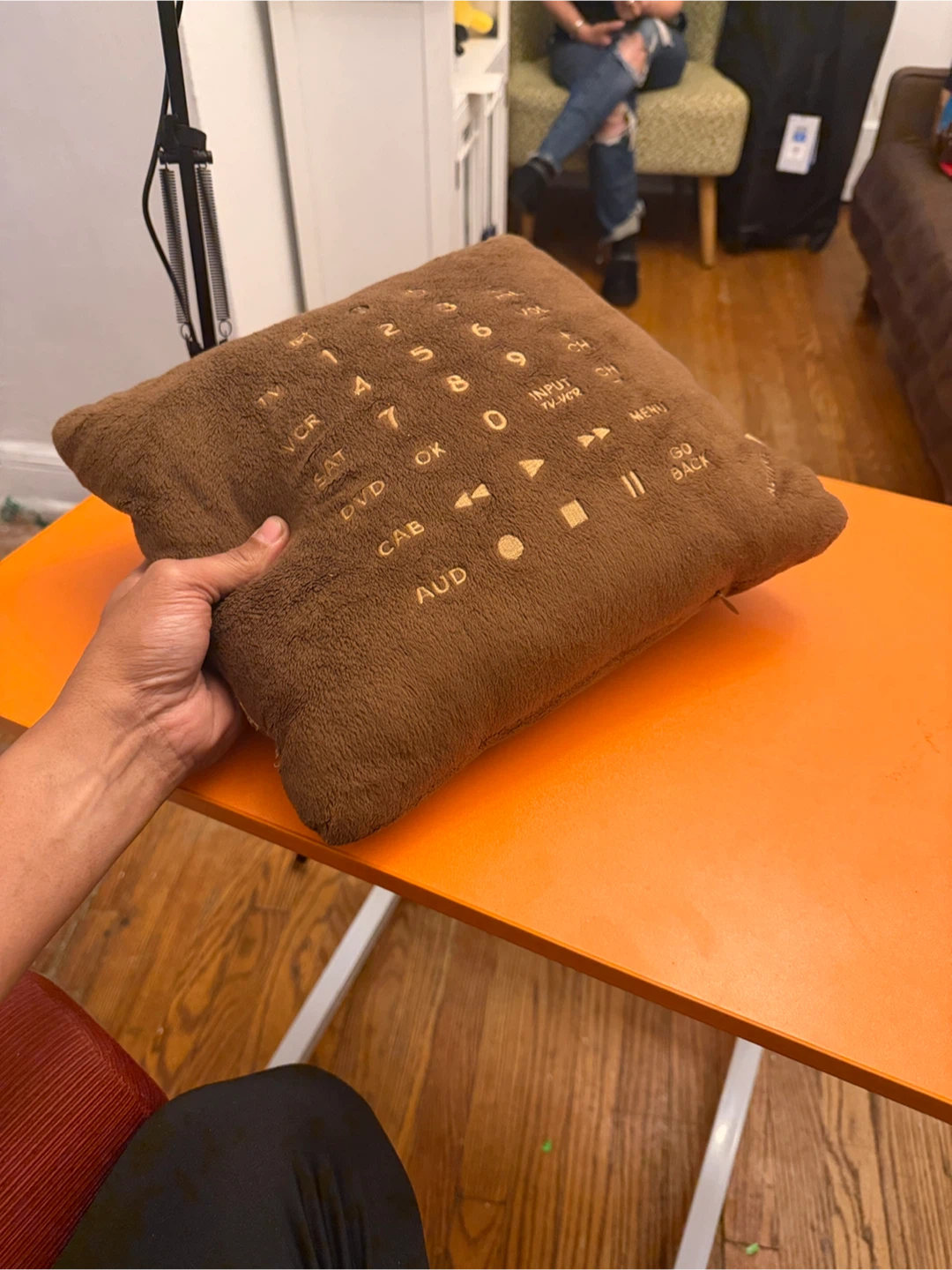 Brookstone Remote Control Pillow