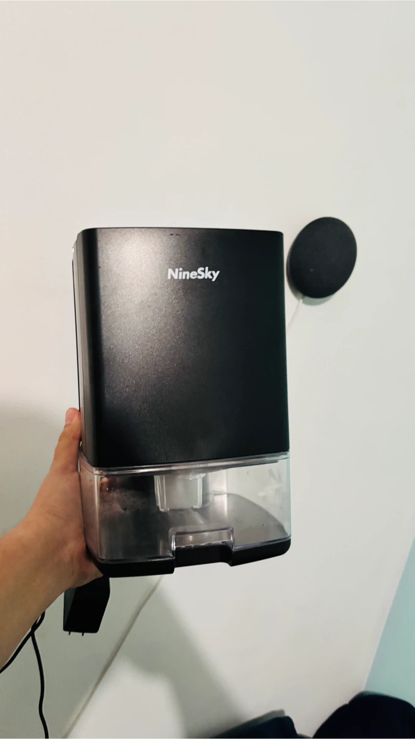 NineSky Small Dehumidifier 🏆
