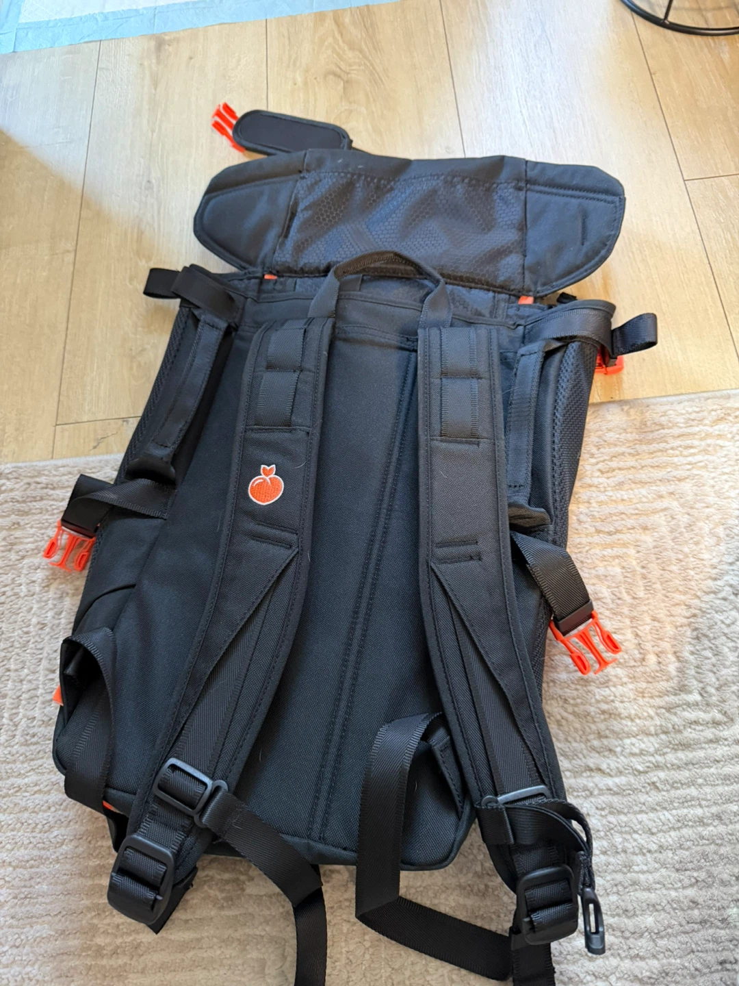Black Backpack for dogs! - photo 2