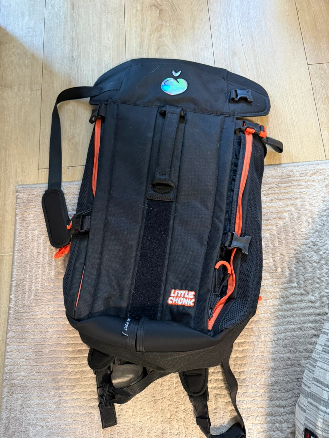 Black Backpack for dogs!