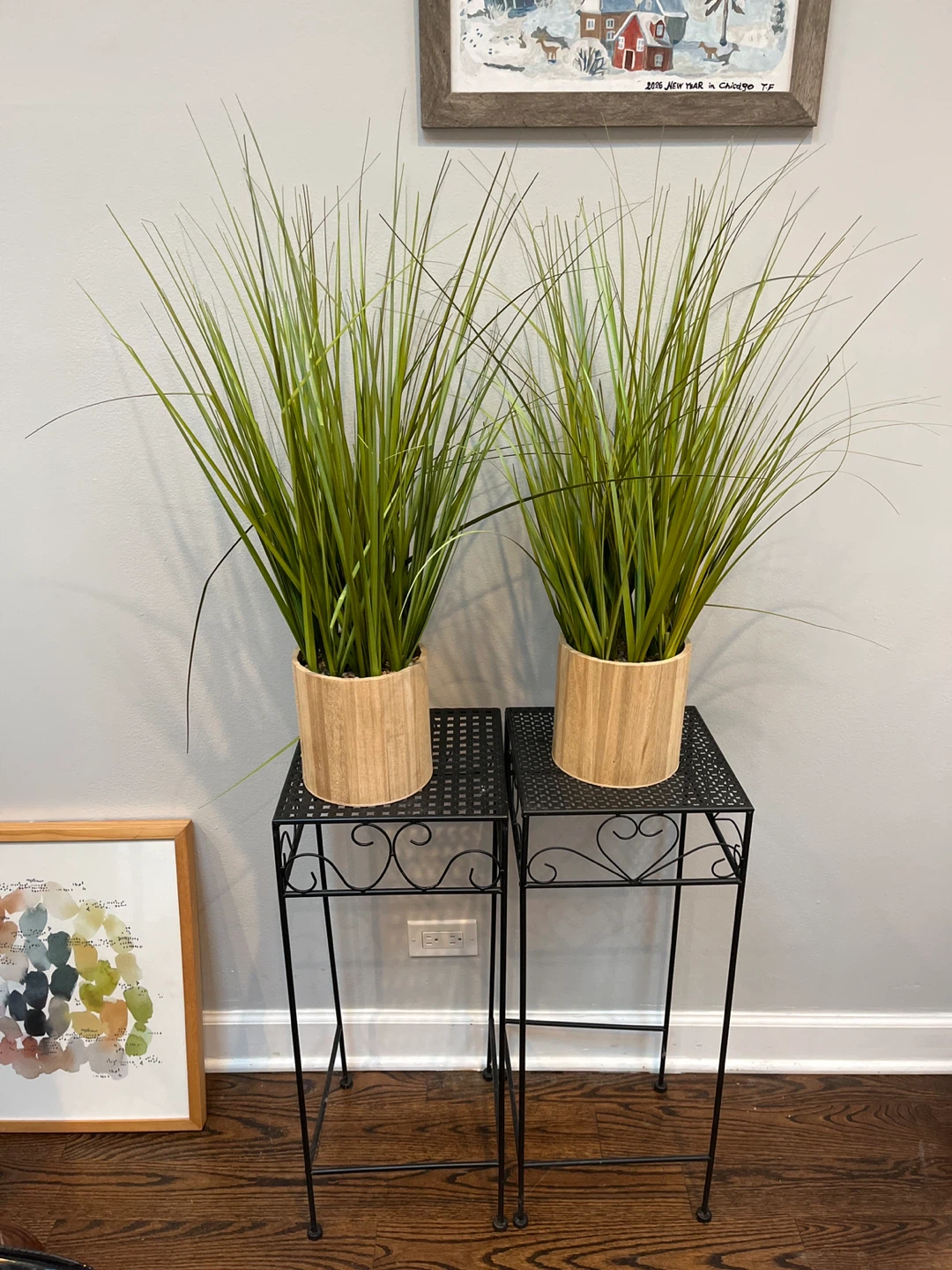 2 plants & iron stands