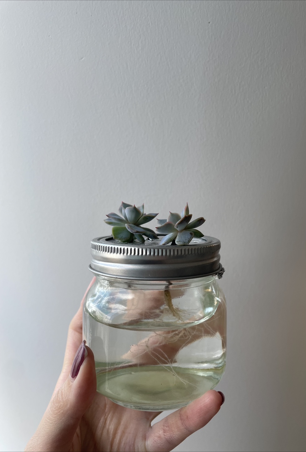 New 8oz glass mason jars - photo 3