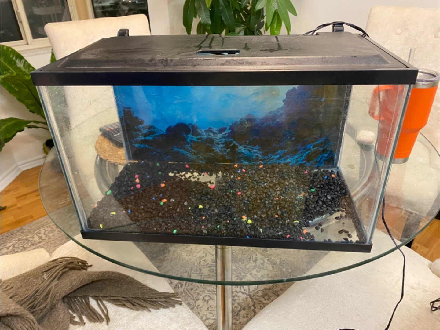 Fish tank - photo 4