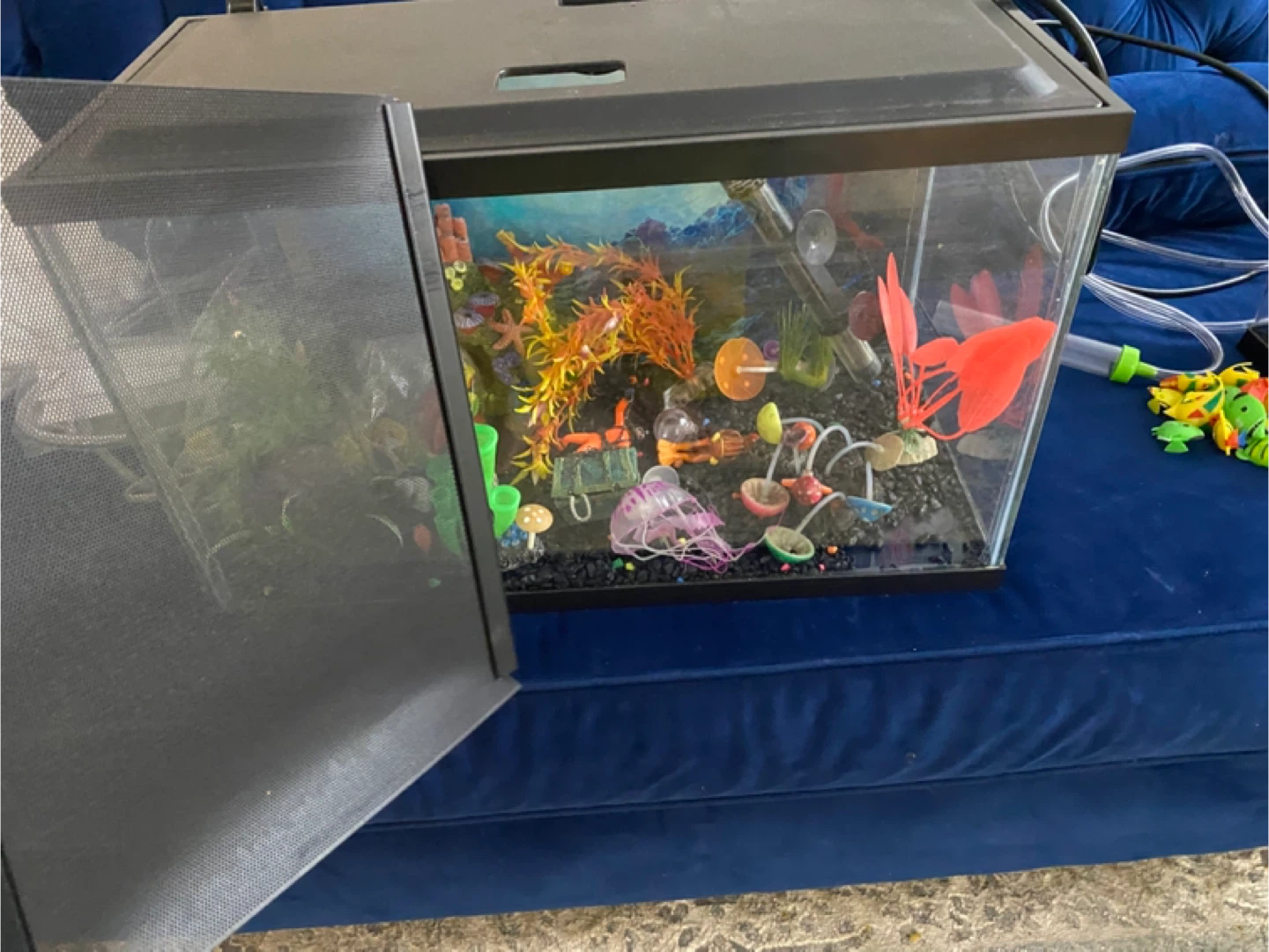 Fish tank - photo 2