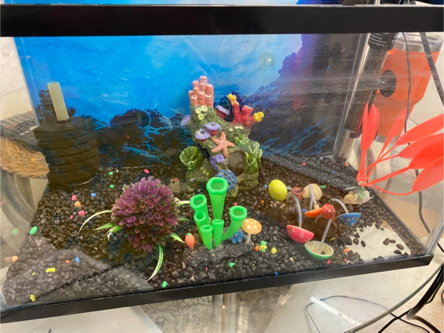 Fish tank - photo 3
