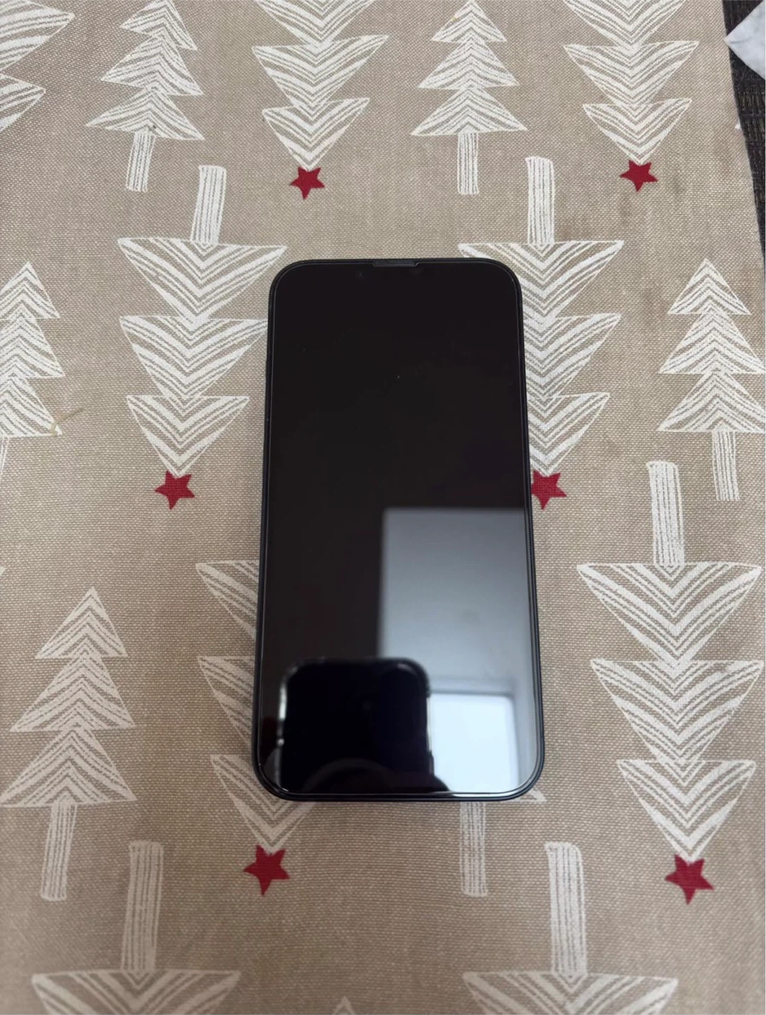 iPhone 13 - photo 2