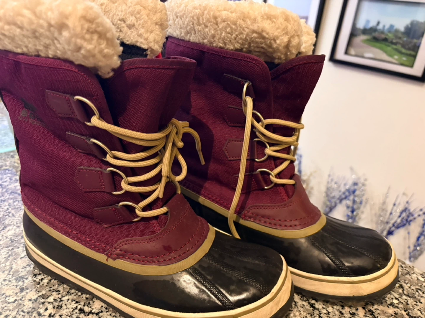 Sorel Women's Winter Boots Size 9