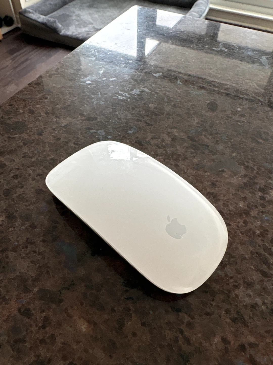 Apple Magic Mouse