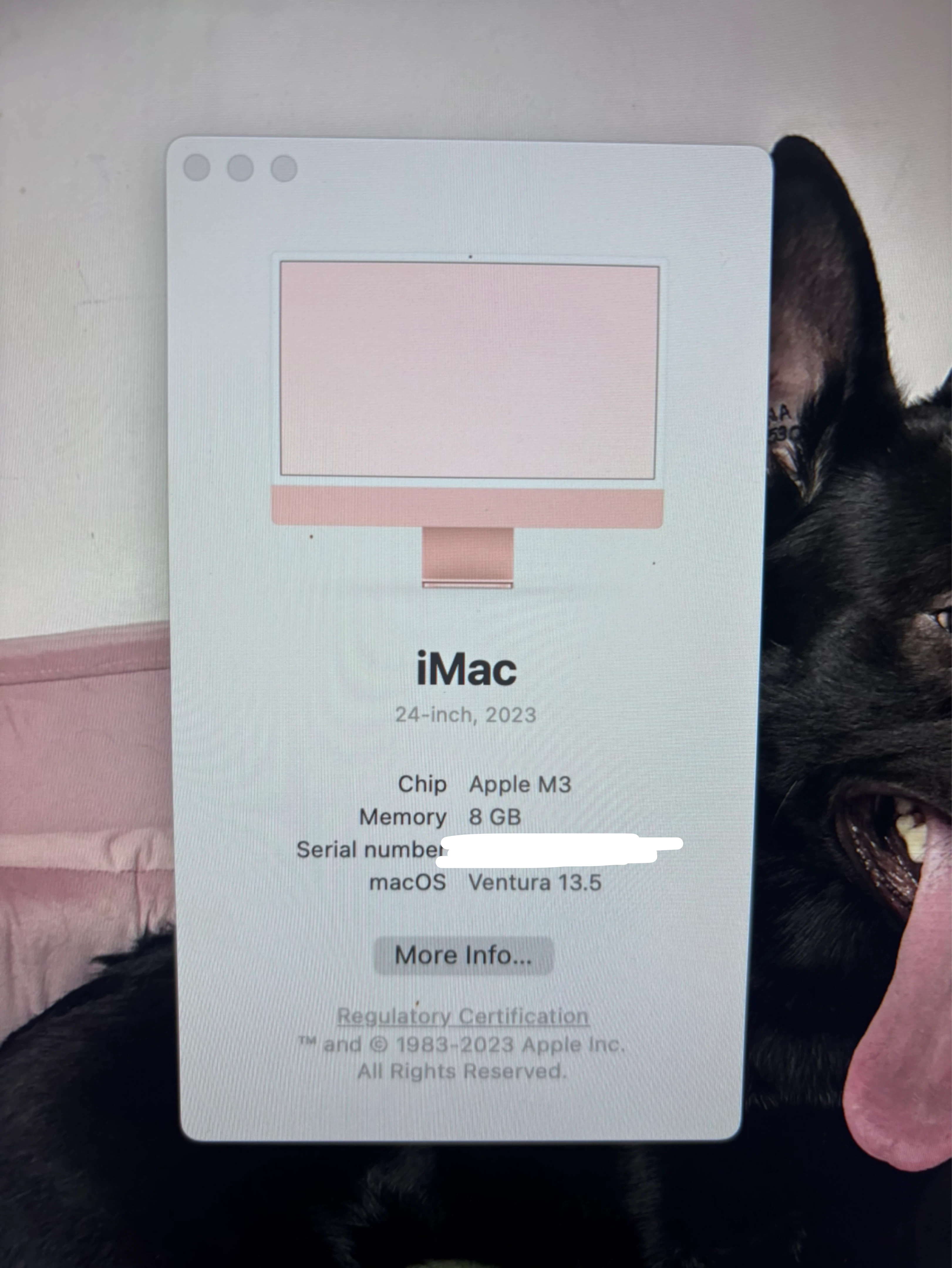 Apple iMac 24-inch 2023 M3 Chip 8GB Memory Pink - photo 2