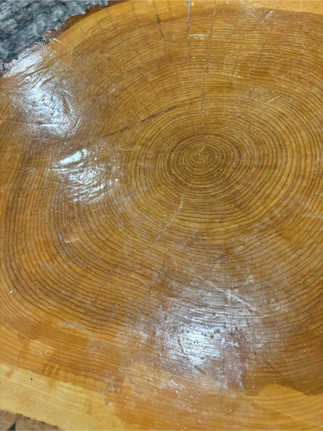 Live Edge Wood Slice Coffee Table with Metal Legs - photo 3