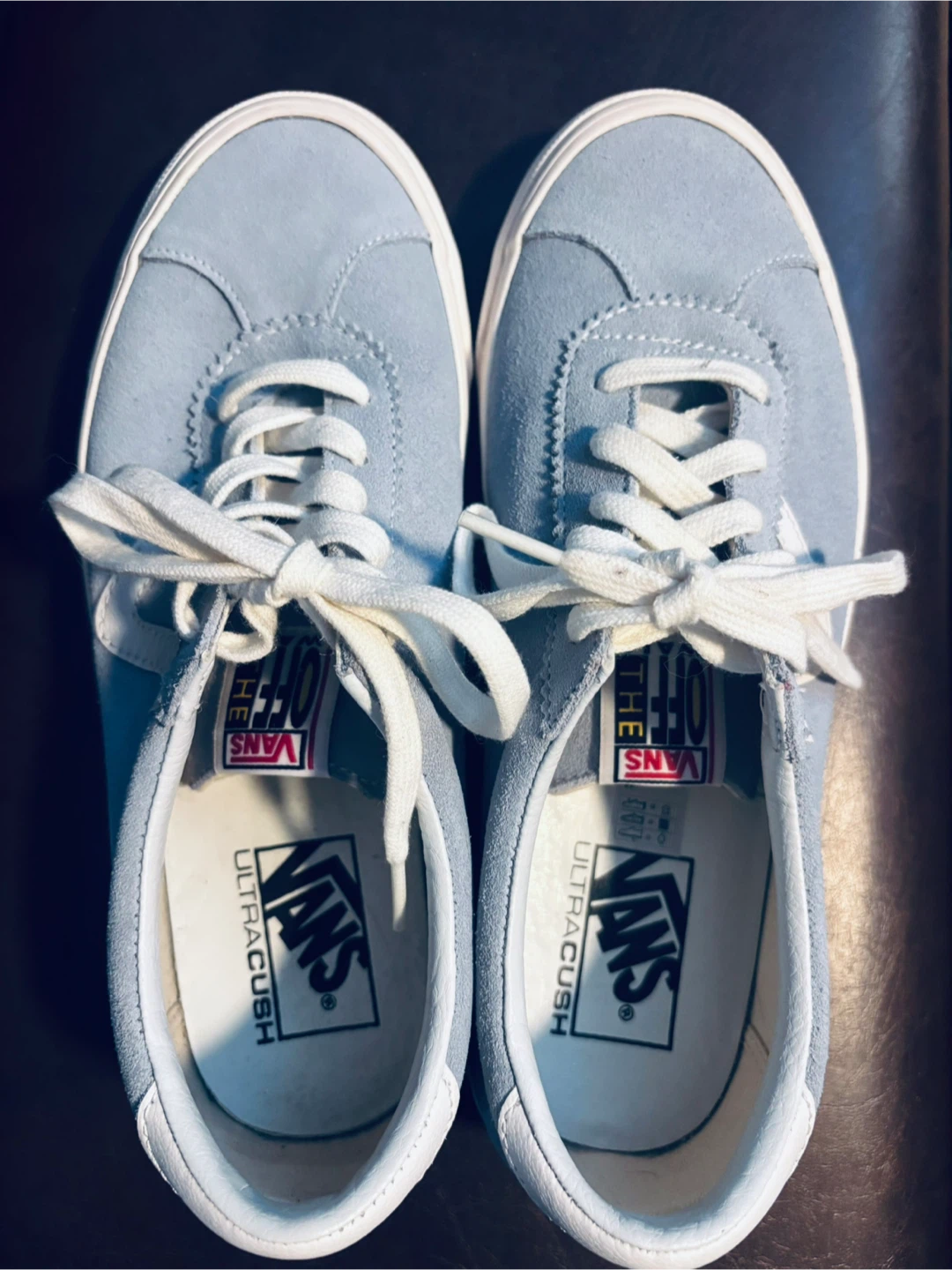 Vans Style 73 Skate Shoes