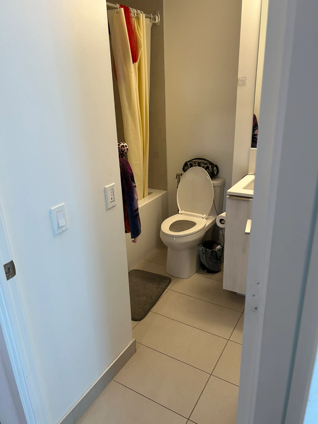 1 Bed 1 Bath Apartment for Rent - photo 3