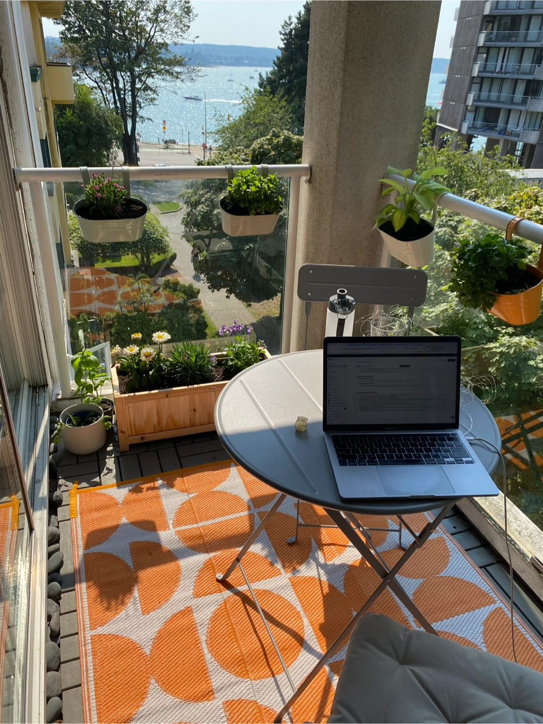 Outdoor rug and 5 planters