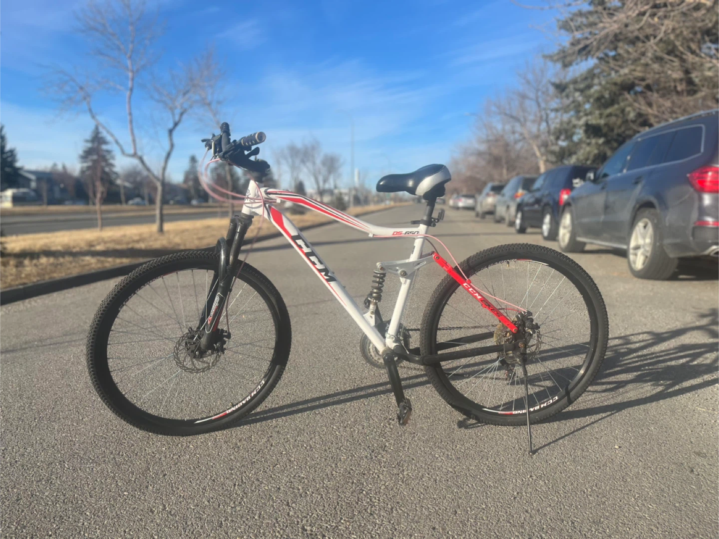 CCM DS 650 Mountain Bike