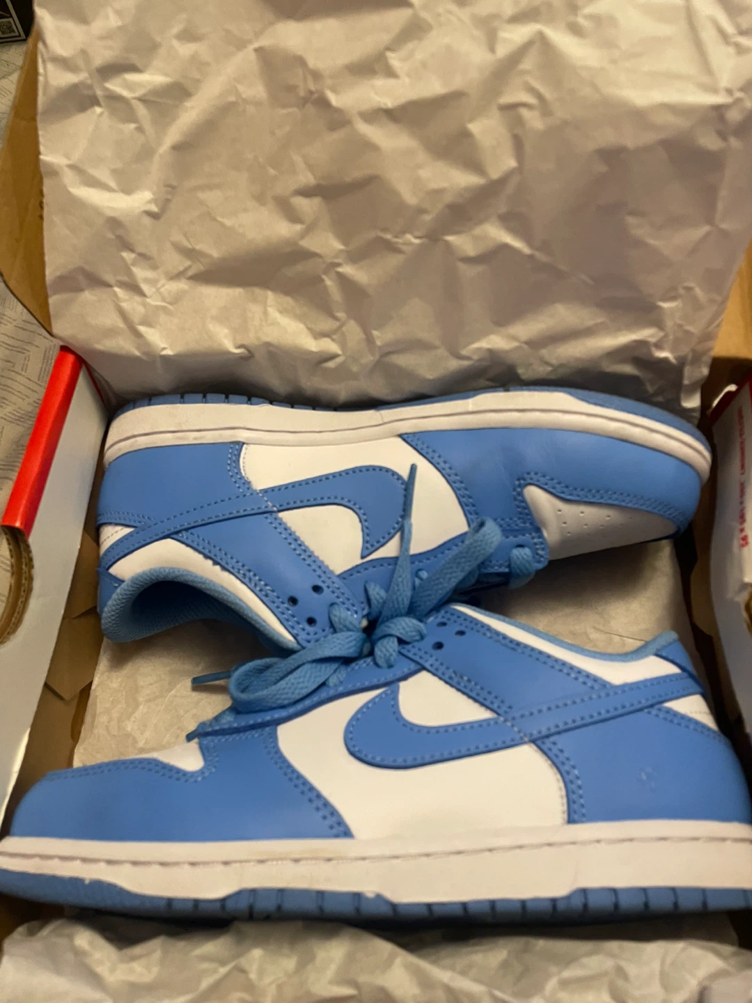 Nike Dunk Low (PS) Toddler Shoes