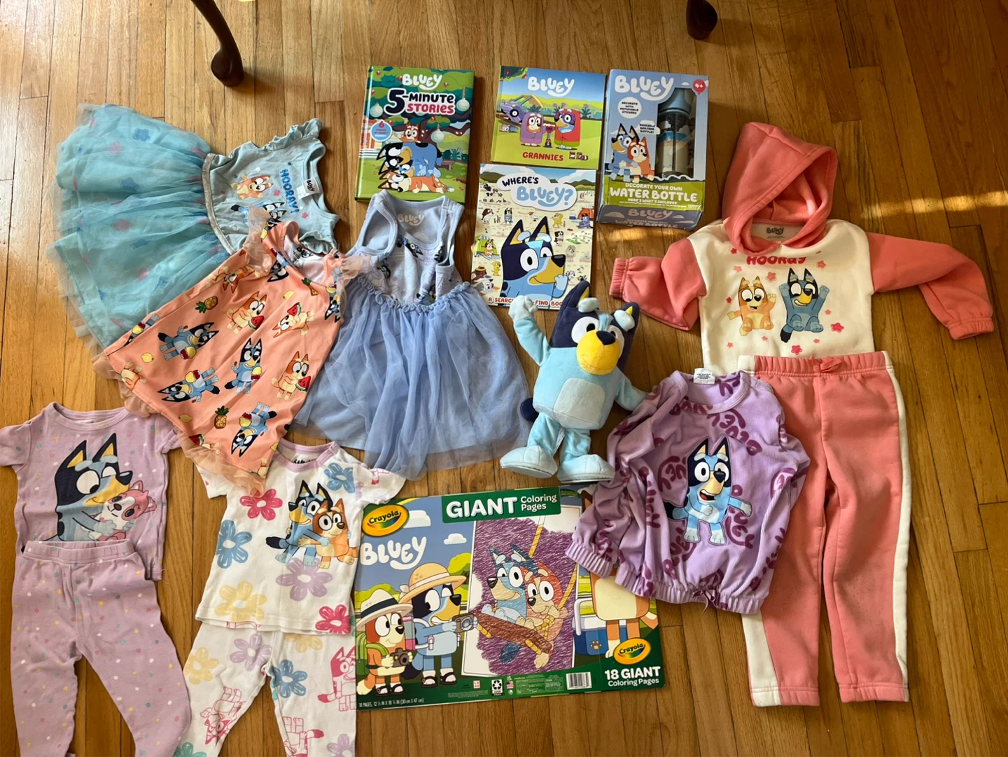 Bluey Bundle