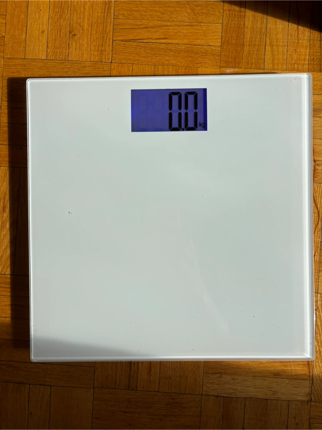Digital Bathroom Scale - photo 2
