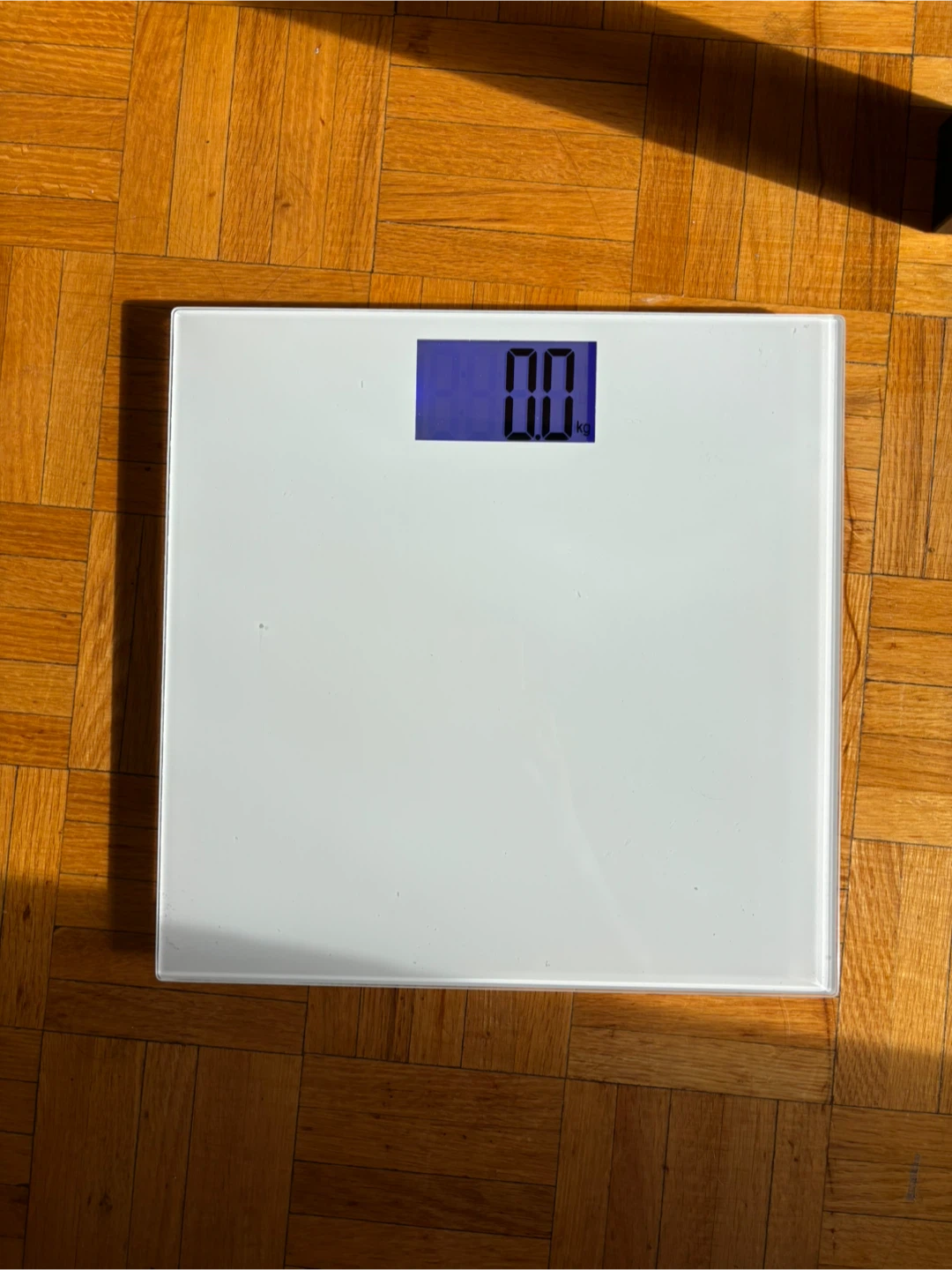 Digital Bathroom Scale - photo 3