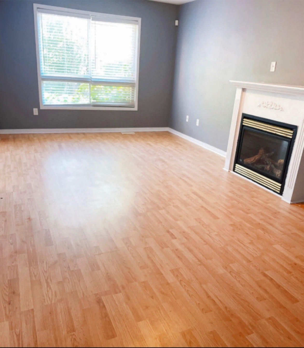 Brampton 5 bdr house for rent @ queen / McLaughlin - photo 4