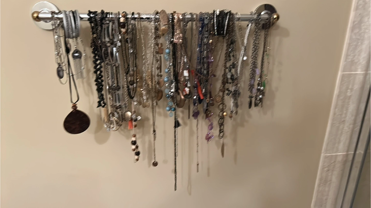Assorted Women's Necklaces Bundle