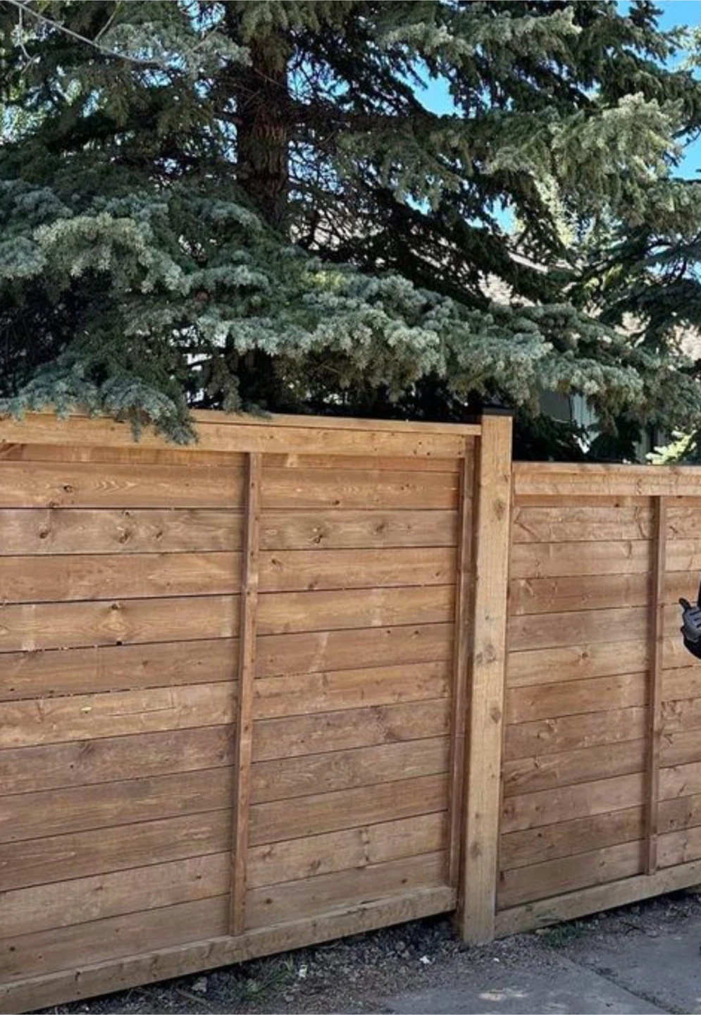Pressure treated fence 🏆 - photo 4