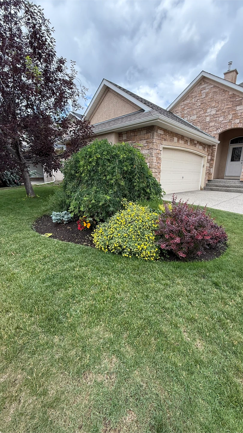 Landscaping design and construction 🏆 - photo 4