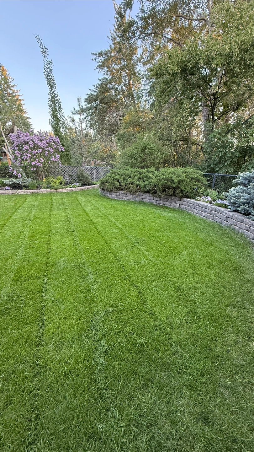Landscaping design and construction 🏆 - photo 5