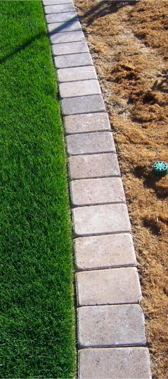 Artificial grass installtion 🏆 - photo 2