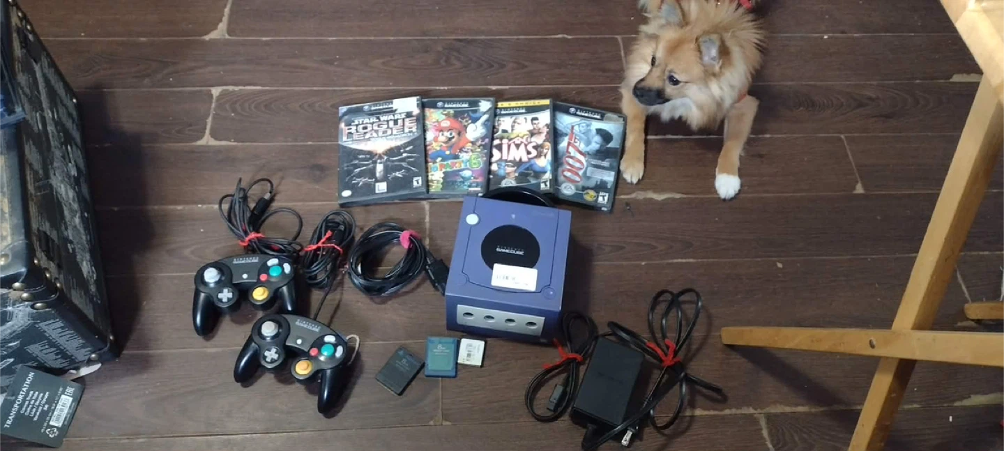 Nintendo GameCube Console Bundle with Games and Controllers