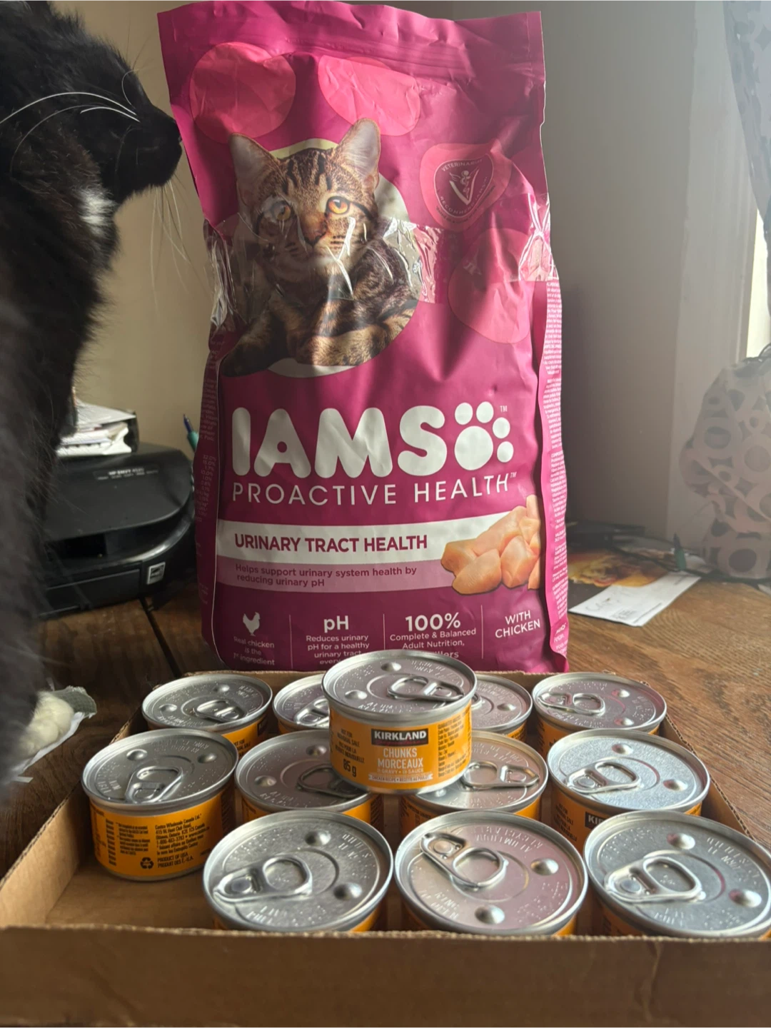 Cat 🐱 food