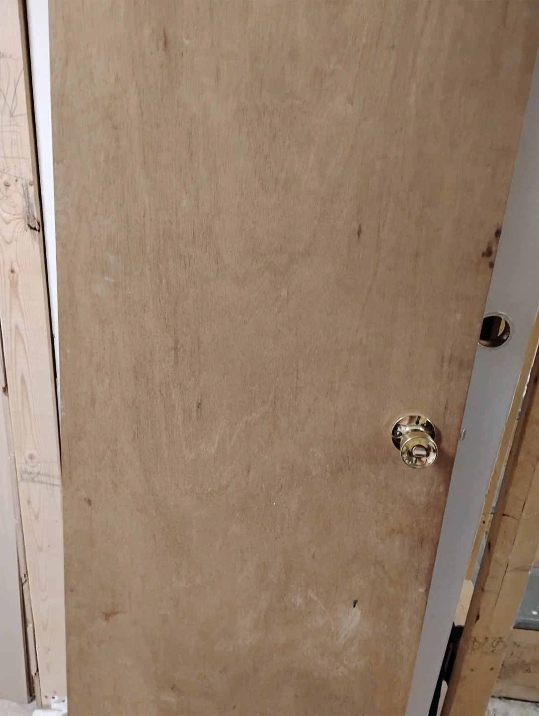 Wooden Interior Door with Gold Knob